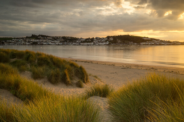 Appledore from the dunes of Instow Picture Board by Tony Twyman