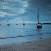 Buy canvas prints of Yachts moored at Instow by Tony Twyman
