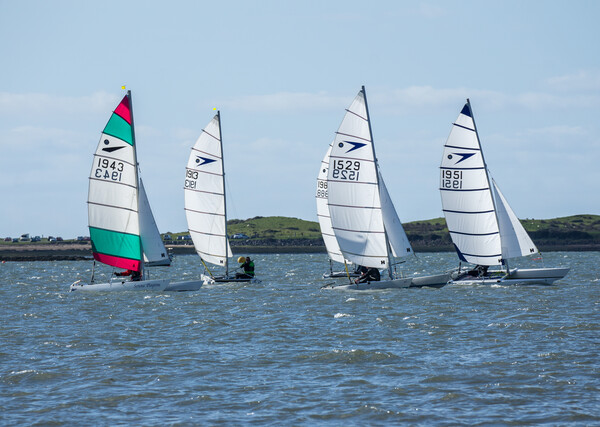 Catamarans at Instow Picture Board by Tony Twyman