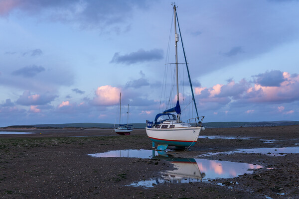 yachts moored on Instow beach at dusk Picture Board by Tony Twyman