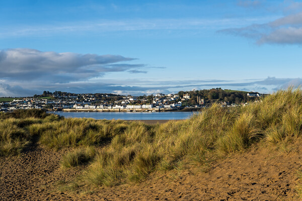 Appledore through the sand dunes of Instow Picture Board by Tony Twyman