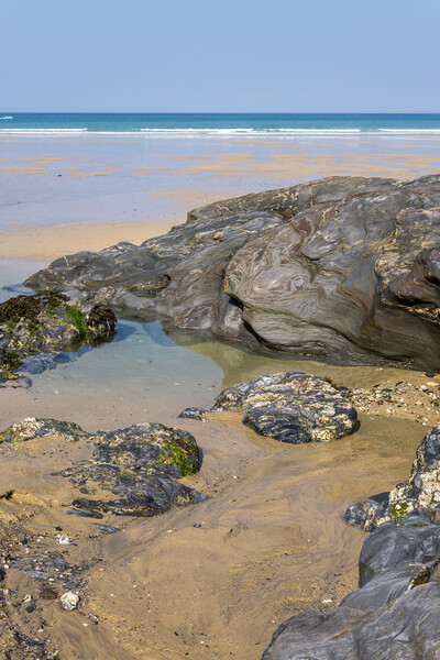 Rock pool on Towan beach  Picture Board by Tony Twyman