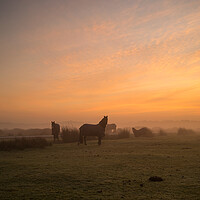 Buy canvas prints of Misty Sunrise at Northam Burrows in North Devon by Tony Twyman