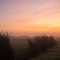 Buy canvas prints of Misty sunrise on Northam Burrows by Tony Twyman