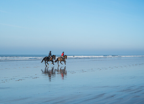 Horses on Westward Ho beach Picture Board by Tony Twyman