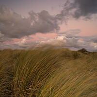 Buy canvas prints of Instow beach dunes at sunset by Tony Twyman
