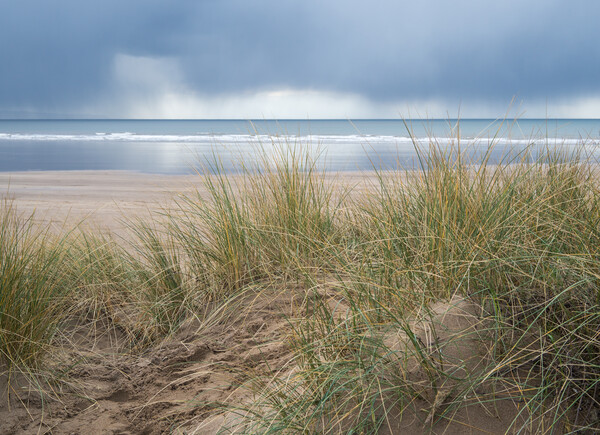 Moody sky at Saunton Beach Picture Board by Tony Twyman