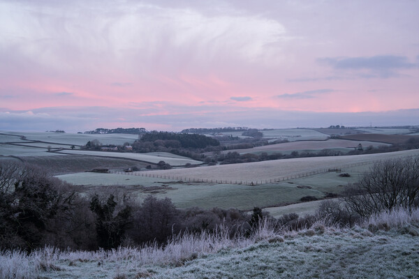 Frosty hills of Bideford , Devon Picture Board by Tony Twyman