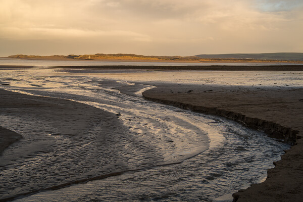 Instow beach stream at Sunrise Picture Board by Tony Twyman