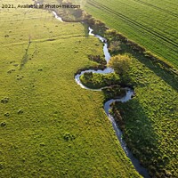 Buy canvas prints of Dyance Beck in a Lush Meadow by Edward Laxton