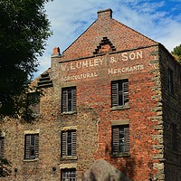 Buy canvas prints of W. Lumley & Son Warehouse by Edward Laxton