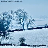 Buy canvas prints of Frozen North by Edward Laxton