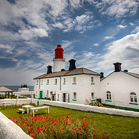 Buy canvas prints of Poppies at Souter Lighthouse by Tyne Tees Photography