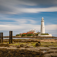 Buy canvas prints of St Marys Lighthouse  by Tyne Tees Photography
