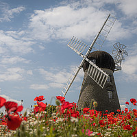 Buy canvas prints of Poppies at Whitburn Windmill by Tyne Tees Photography