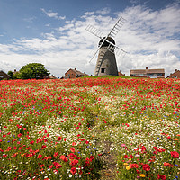 Buy canvas prints of Poppies at Whitburn by Tyne Tees Photography