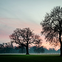 Buy canvas prints of Trees Of Hope by Ben Hatwell