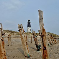 Buy canvas prints of Spurn Point Lighthouse                     by Tracey Wood