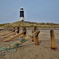 Buy canvas prints of Spurn Point Lighthouse                             by Tracey Wood