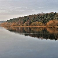 Buy canvas prints of Eccup reservoir ,reflections by Tracey Wood