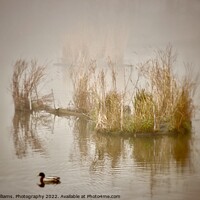 Buy canvas prints of Misty Lake by Tony Williams. Photography email tony-williams53@sky.com
