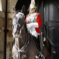 Buy canvas prints of Horse guards  by Tony Williams. Photography email tony-williams53@sky.com
