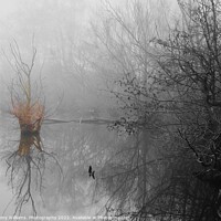 Buy canvas prints of Misty morning by the lake by Tony Williams. Photography email tony-williams53@sky.com