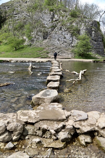 Stepping stones Dovedale. Picture Board by Tony Williams. Photography email tony-williams53@sky.com