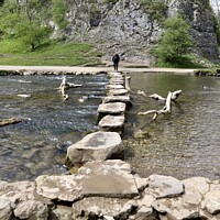Buy canvas prints of Stepping stones Dovedale. by Tony Williams. Photography email tony-williams53@sky.com