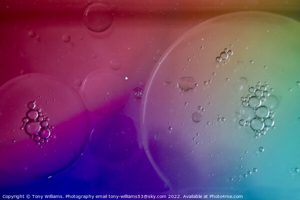 Water and oil abstract Picture Board by Tony Williams. Photography email tony-williams53@sky.com