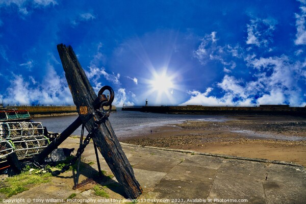 Harbour Whitby  Picture Board by Tony Williams. Photography email tony-williams53@sky.com
