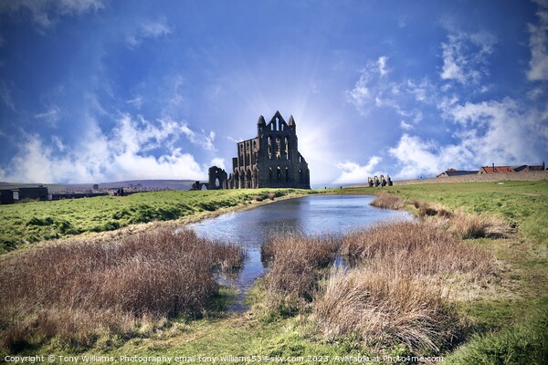 Whitby abbey  Picture Board by Tony Williams. Photography email tony-williams53@sky.com