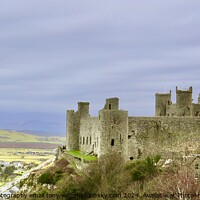 Buy canvas prints of Harlech Castle by Tony Williams. Photography email tony-williams53@sky.com