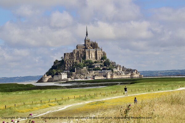 Medieval Abbey Rising, Le Havre Picture Board by Tony Williams. Photography email tony-williams53@sky.com