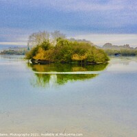 Buy canvas prints of A bird island  by Tony Williams. Photography email tony-williams53@sky.com