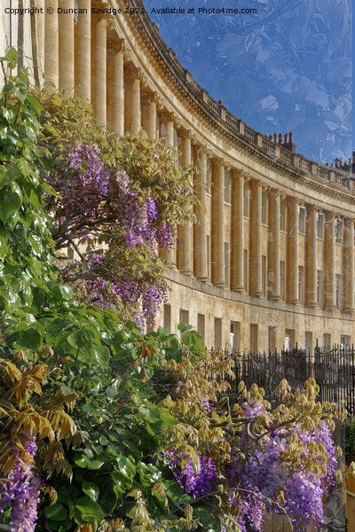 Royal Crescent Wisteria blend Picture Board by Duncan Savidge