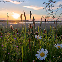 Buy canvas prints of Chew Valley Lake Daisy sunset by Duncan Savidge