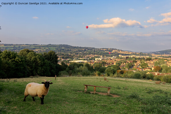 Hot air balloon passing Bath City Farm Picture Board by Duncan Savidge