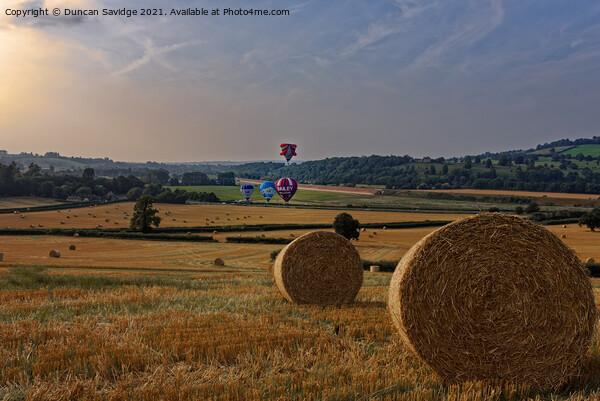 Maize Field hot air balloon launch near Bath Picture Board by Duncan Savidge