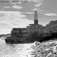 Buy canvas prints of Portland Lighthouse black and white by Duncan Savidge