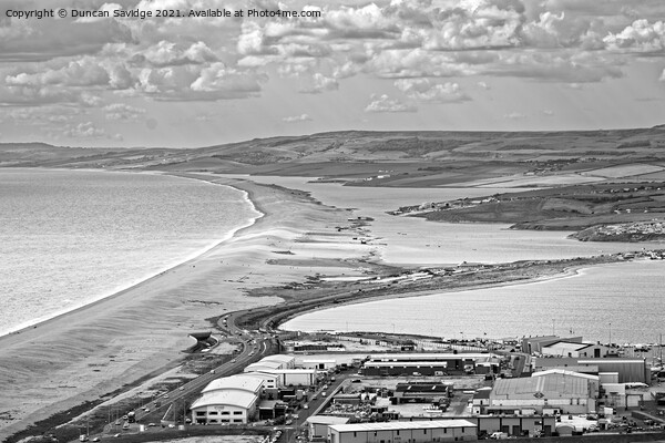 Chesil Beach black and white Picture Board by Duncan Savidge
