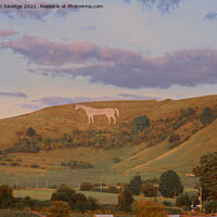 Buy canvas prints of Golden light on the Westbury white horse by Duncan Savidge