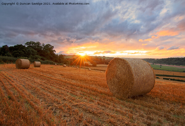 Harvest time sunset Picture Board by Duncan Savidge