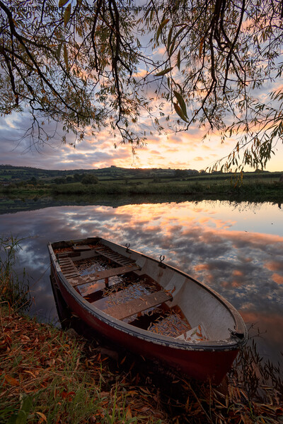 Portrait Sunrise on the River Avon Saltford near Bath Picture Board by Duncan Savidge