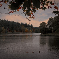 Buy canvas prints of Autumn at Shear Water by Duncan Savidge