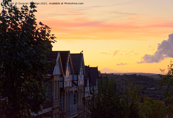 Sunset from Alexandra Park Bath Picture Board by Duncan Savidge