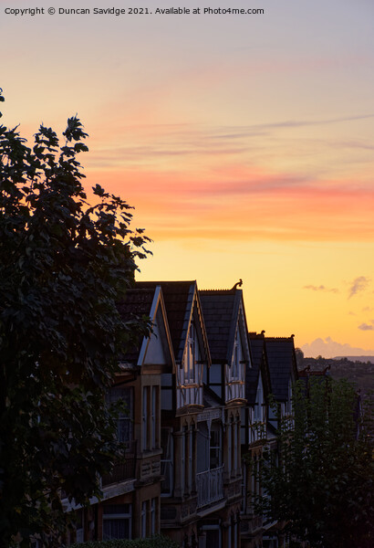 Sunset from Alexandra Park Bath portrait  Picture Board by Duncan Savidge