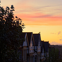 Buy canvas prints of Sunset from Alexandra Park Bath portrait  by Duncan Savidge