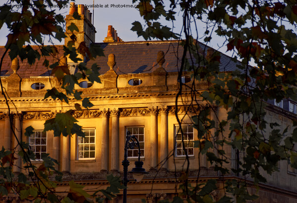 Autumn at The Circus Bath Picture Board by Duncan Savidge