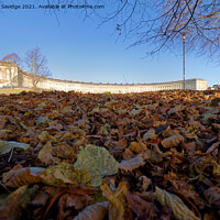 Buy canvas prints of Autumn leaves at the Royal Crescent Bath by Duncan Savidge